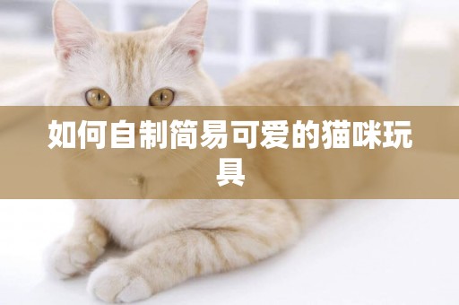 如何自制簡易可愛的貓咪玩具