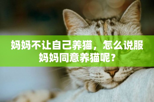 媽媽不讓自己養貓，怎么說服媽媽同意養貓呢？