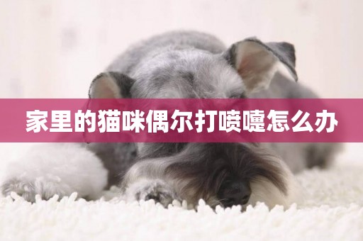 家里的貓咪偶爾打噴嚏怎么辦