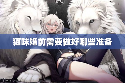 貓咪婚前需要做好哪些準備