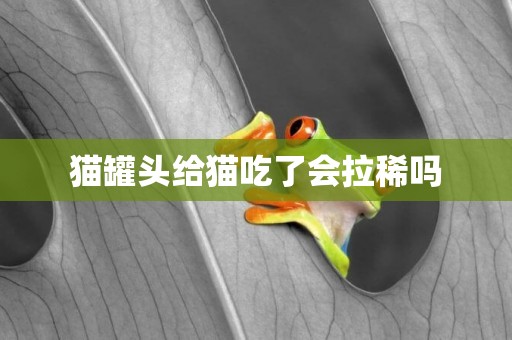 貓罐頭給貓吃了會拉稀嗎