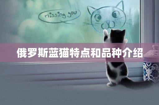 俄羅斯藍貓特點和品種介紹