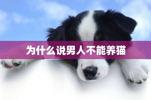 為什么說男人不能養貓