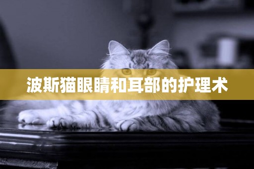 波斯貓眼睛和耳部的護理術