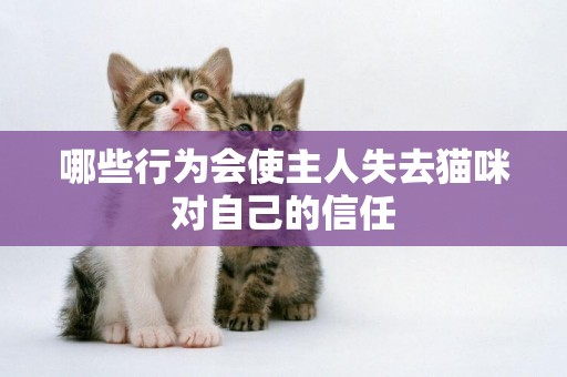 哪些行為會使主人失去貓咪對自己的信任