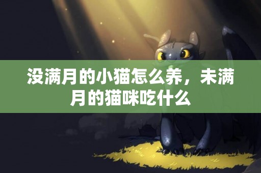 沒滿月的小貓怎么養，未滿月的貓咪吃什么