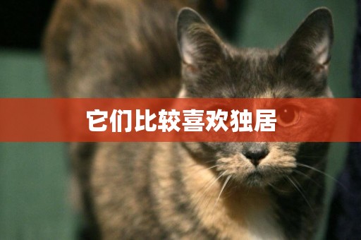它們比較喜歡獨居
