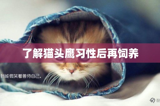 了解貓頭鷹習性后再飼養