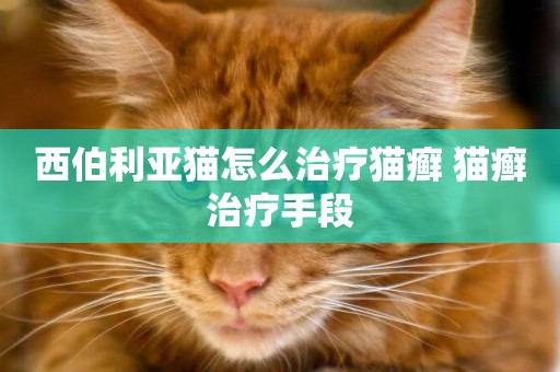 西伯利亞貓怎么治療貓癬 貓癬治療手段