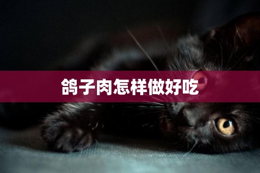 鴿子肉怎樣做好吃