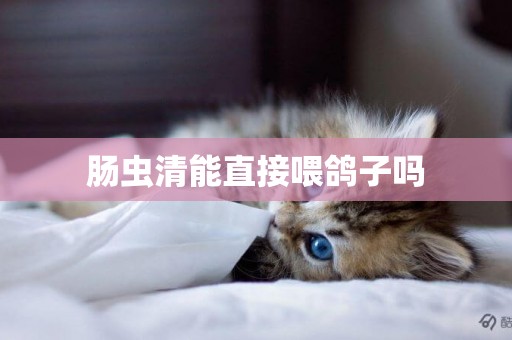 腸蟲清能直接喂鴿子嗎