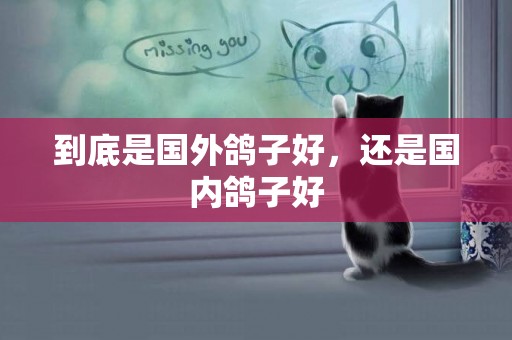 到底是國外鴿子好，還是國內鴿子好