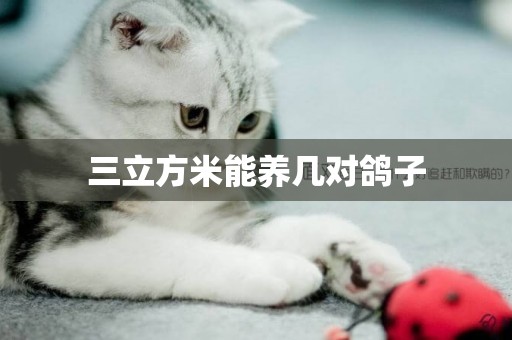 三立方米能養幾對鴿子