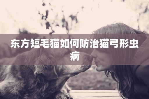 東方短毛貓如何防治貓弓形蟲病