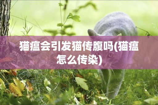 貓瘟會引發貓傳腹嗎(貓瘟怎么傳染)