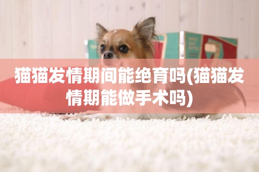 貓貓發情期間能絕育嗎(貓貓發情期能做手術嗎)