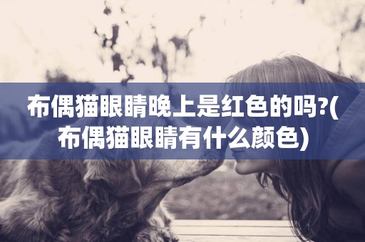 布偶貓眼睛晚上是紅色的嗎?(布偶貓眼睛有什么顏色)