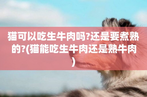 貓可以吃生牛肉嗎?還是要煮熟的?(貓能吃生牛肉還是熟牛肉)
