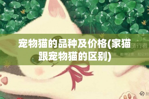 寵物貓的品種及價格(家貓跟寵物貓的區別)