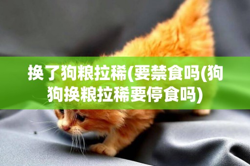 換了狗糧拉稀(要禁食嗎(狗狗換糧拉稀要停食嗎)