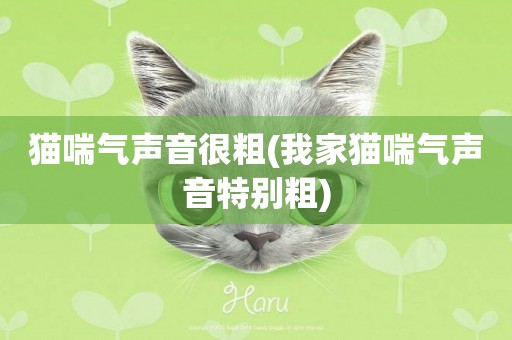 貓喘氣聲音很粗(我家貓喘氣聲音特別粗)