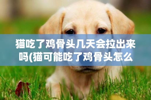 貓吃了雞骨頭幾天會拉出來嗎(貓可能吃了雞骨頭怎么辦)