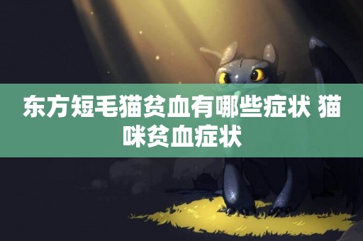 東方短毛貓貧血有哪些癥狀 貓咪貧血癥狀