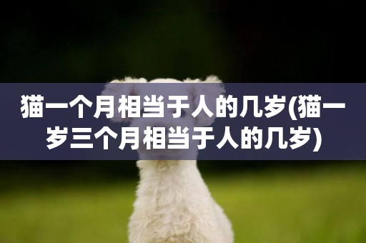 貓一個月相當于人的幾歲(貓一歲三個月相當于人的幾歲)