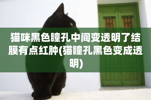 貓咪黑色瞳孔中間變透明了結膜有點紅腫(貓瞳孔黑色變成透明)