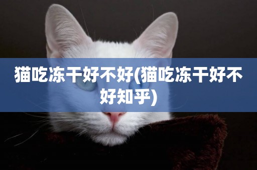 貓吃凍干好不好(貓吃凍干好不好知乎)
