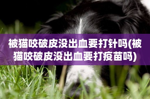 被貓咬破皮沒出血要打針嗎(被貓咬破皮沒出血要打疫苗嗎)