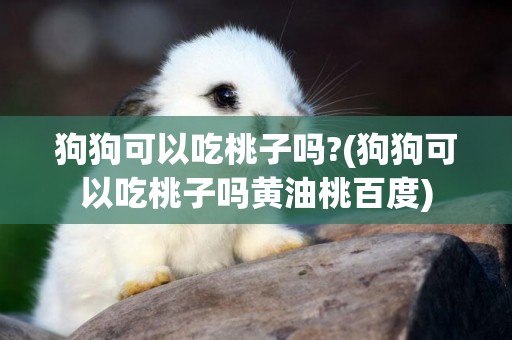 狗狗可以吃桃子嗎?(狗狗可以吃桃子嗎黃油桃百度)