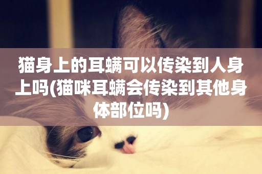貓身上的耳螨可以傳染到人身上嗎(貓咪耳螨會傳染到其他身體部位嗎)
