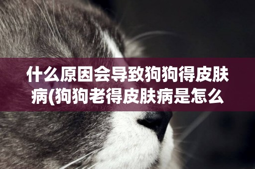 什么原因會導致狗狗得皮膚病(狗狗老得皮膚病是怎么回事)