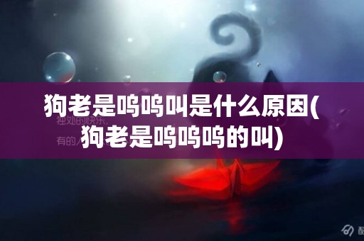 狗老是嗚嗚叫是什么原因(狗老是嗚嗚嗚的叫)