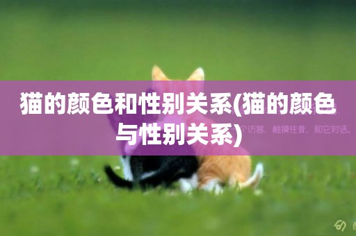 貓的顏色和性別關系(貓的顏色與性別關系)