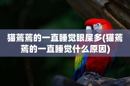 貓蔫蔫的一直睡覺眼屎多(貓蔫蔫的一直睡覺什么原因)
