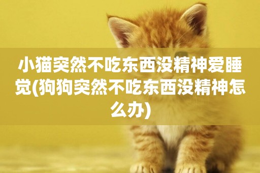 小貓突然不吃東西沒精神愛睡覺(狗狗突然不吃東西沒精神怎么辦)