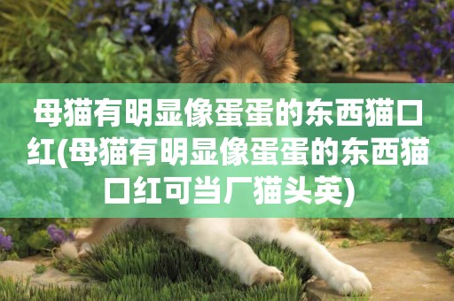 母貓有明顯像蛋蛋的東西貓口紅(母貓有明顯像蛋蛋的東西貓口紅可當廠貓頭英)