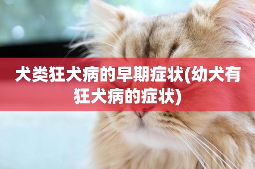 犬類狂犬病的早期癥狀(幼犬有狂犬病的癥狀)