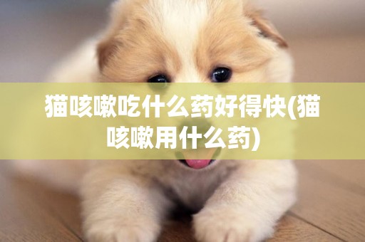 貓咳嗽吃什么藥好得快(貓咳嗽用什么藥)