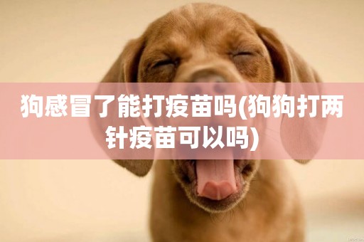 狗感冒了能打疫苗嗎(狗狗打兩針疫苗可以嗎)
