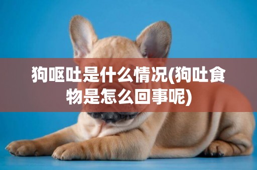 狗嘔吐是什么情況(狗吐食物是怎么回事呢)