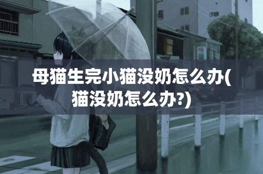 母貓生完小貓沒奶怎么辦(貓沒奶怎么辦?)