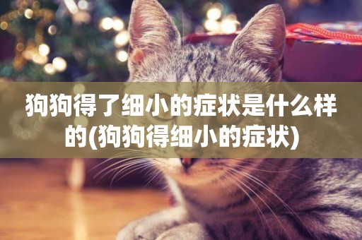狗狗得了細小的癥狀是什么樣的(狗狗得細小的癥狀)