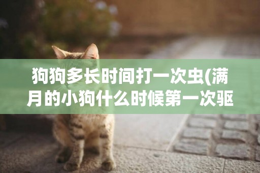狗狗多長時間打一次蟲(滿月的小狗什么時候第一次驅蟲)