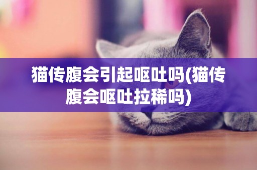 貓傳腹會引起嘔吐嗎(貓傳腹會嘔吐拉稀嗎)