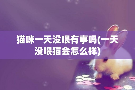 貓咪一天沒喂有事嗎(一天沒喂貓會怎么樣)