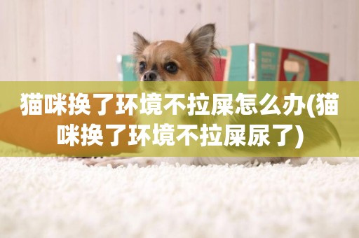 貓咪換了環境不拉屎怎么辦(貓咪換了環境不拉屎尿了)
