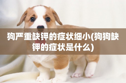 狗嚴重缺鉀的癥狀細小(狗狗缺鉀的癥狀是什么)